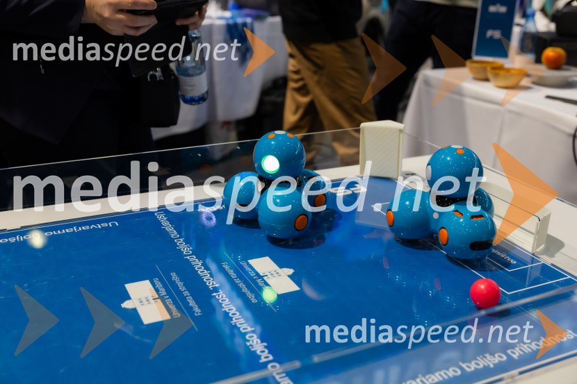 Univerza v Mariboru na sejmu Informativa