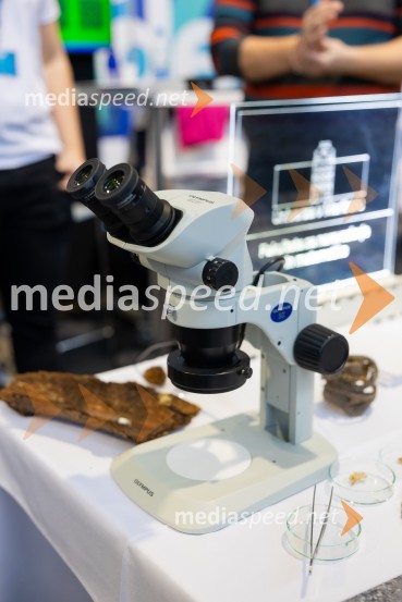 Univerza v Mariboru na sejmu Informativa