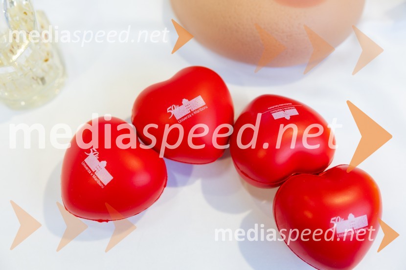 Univerza v Mariboru na sejmu Informativa