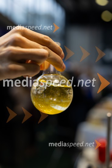 Univerza v Mariboru na sejmu Informativa