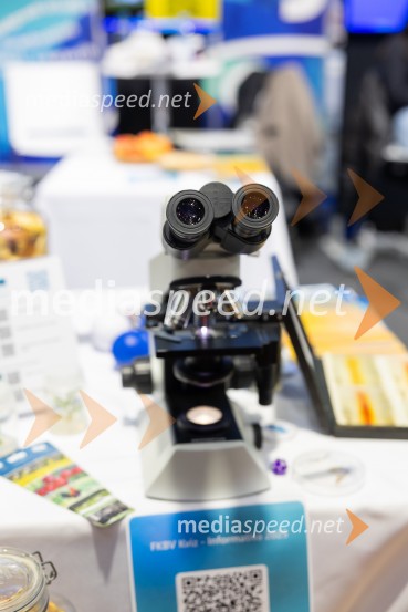 Univerza v Mariboru na sejmu Informativa