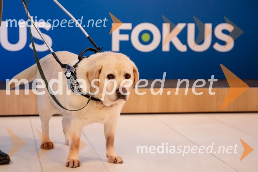 Ustanovni kongres Lotričeve stranke Fokus