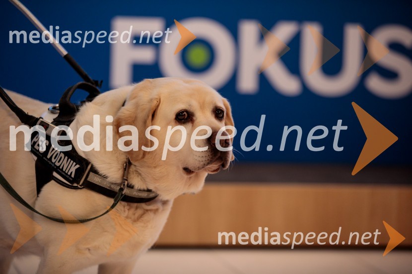 Ustanovni kongres Lotričeve stranke Fokus