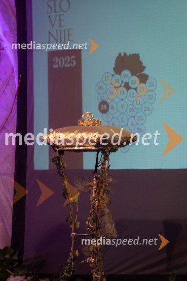 Nina Polanec okronana za 28. Vinsko kraljico Slovenije