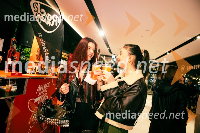  Anja Rijavec;  Veronika JapeljBob Dylan: Popolni neznanec, premiera v Cineplexx Ljubljana