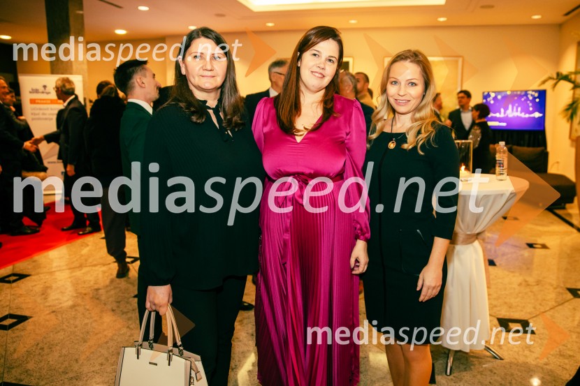 Franjo Bobinac je prejemnik priznanja za življenjsko delo na področju managementa 2024