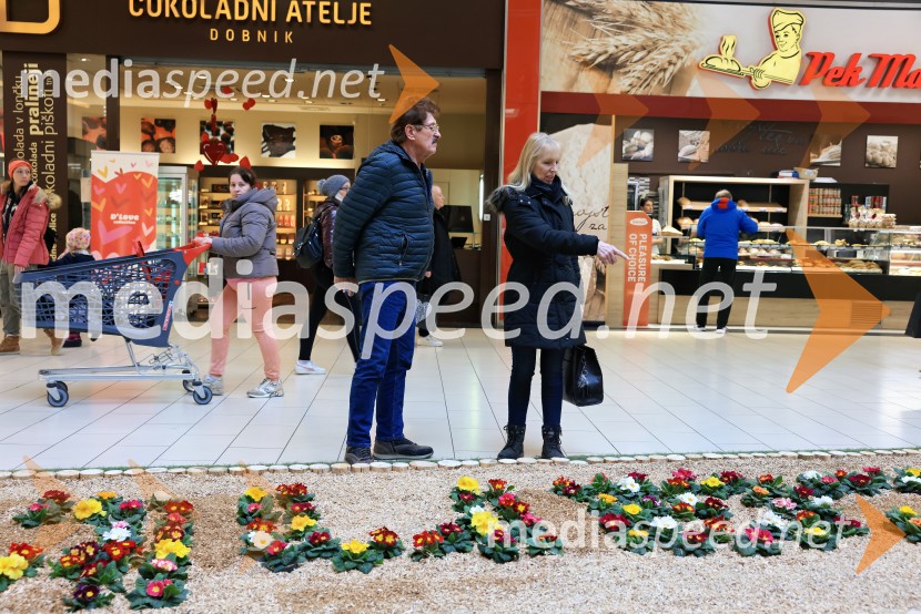 Razstava cvetja v Citycentru Celje