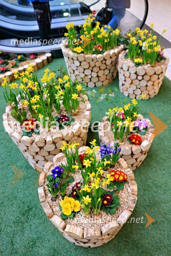 Razstava cvetja v Citycentru Celje