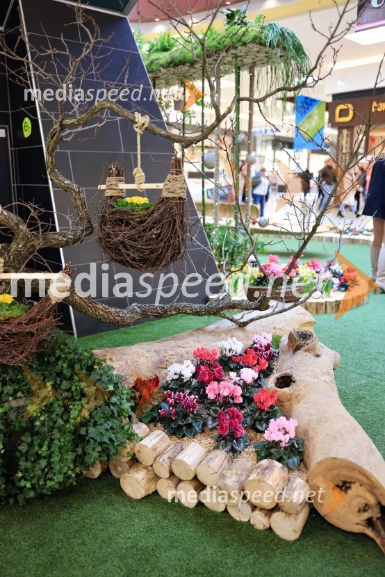 Razstava cvetja v Citycentru Celje