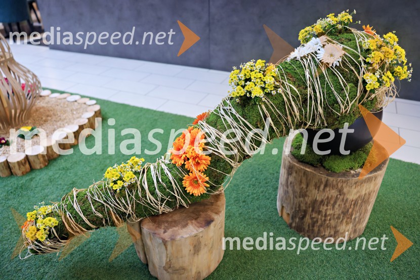 Razstava cvetja v Citycentru Celje