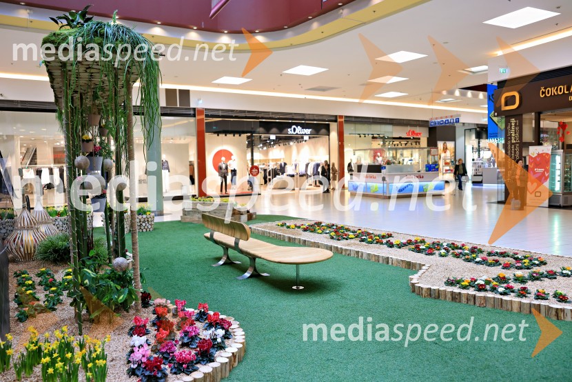 Razstava cvetja v Citycentru Celje