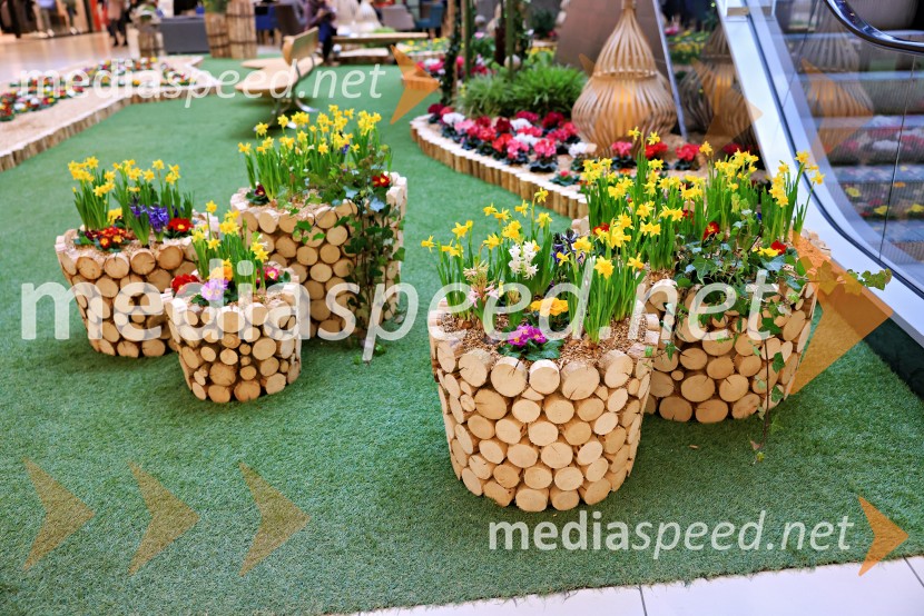 Razstava cvetja v Citycentru Celje