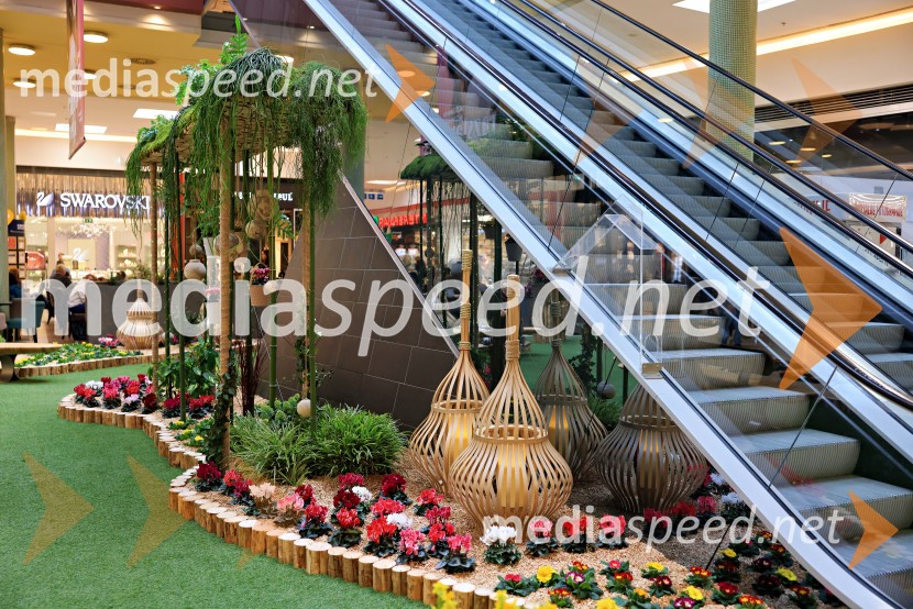 Razstava cvetja v Citycentru Celje