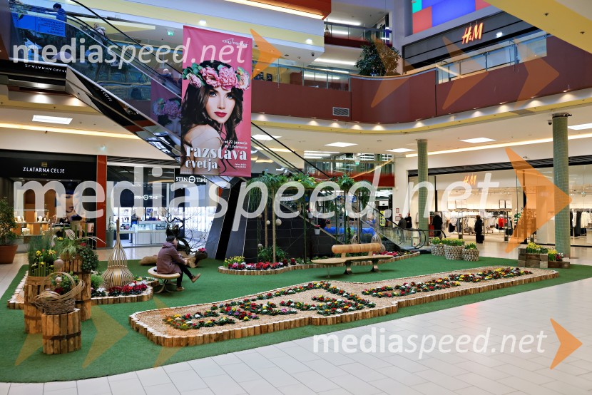 Razstava cvetja v Citycentru Celje