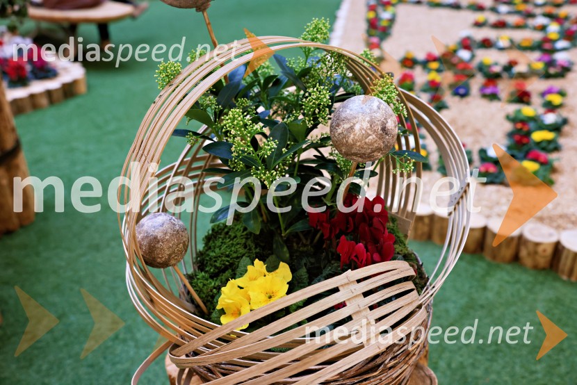 Razstava cvetja v Citycentru Celje