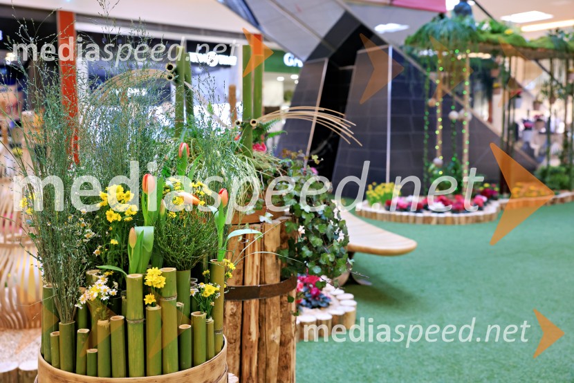 Razstava cvetja v Citycentru Celje