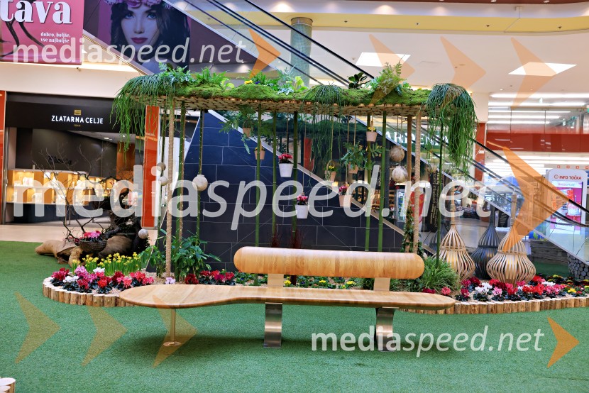 Razstava cvetja v Citycentru Celje
