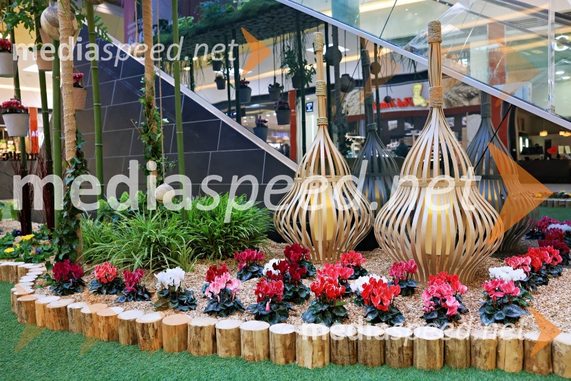 Razstava cvetja v Citycentru Celje