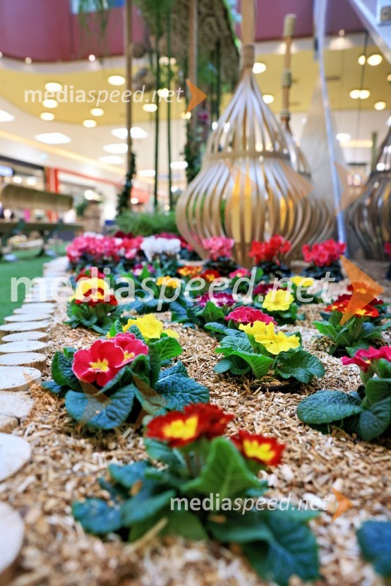 Razstava cvetja v Citycentru Celje