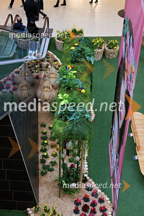 Razstava cvetja v Citycentru Celje