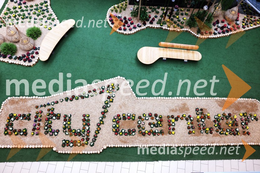 Razstava cvetja v Citycentru Celje