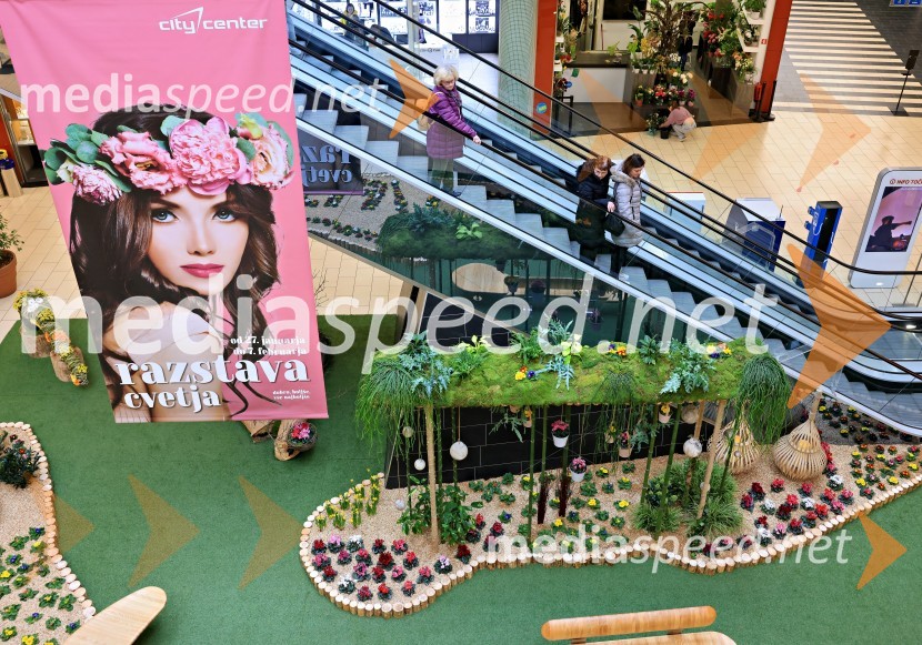 Razstava cvetja v Citycentru Celje