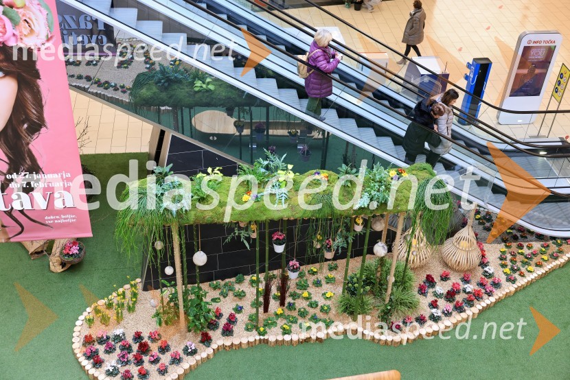 Razstava cvetja v Citycentru Celje