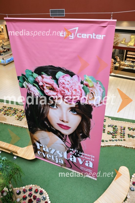 Razstava cvetja v Citycentru Celje