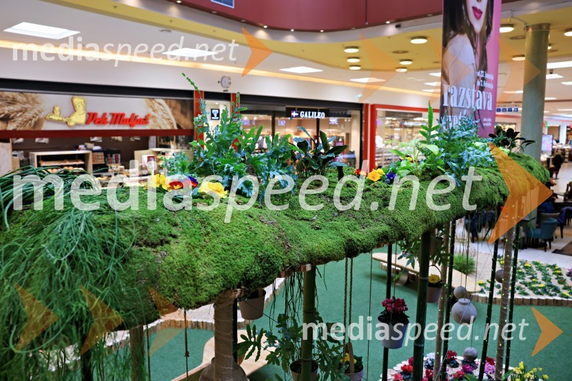 Razstava cvetja v Citycentru Celje