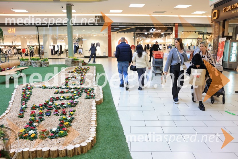 Razstava cvetja v Citycentru Celje