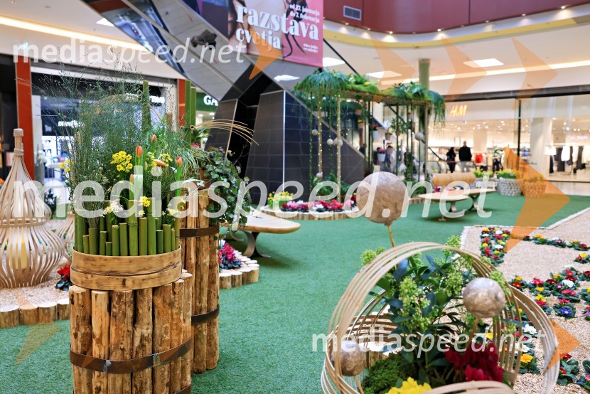 Razstava cvetja v Citycentru Celje
