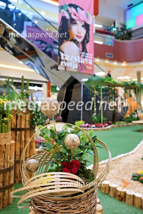 Razstava cvetja v Citycentru Celje