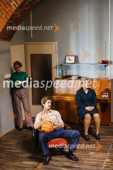 1973, premiera avtorskega projekta v SNG Nova Gorica