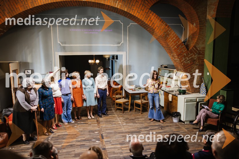 1973, premiera avtorskega projekta v SNG Nova Gorica