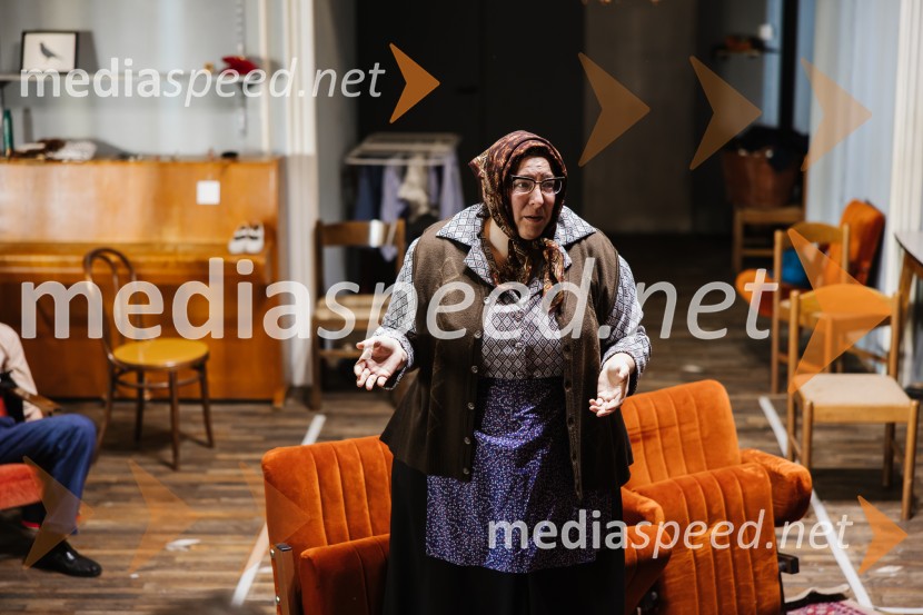 1973, premiera avtorskega projekta v SNG Nova Gorica