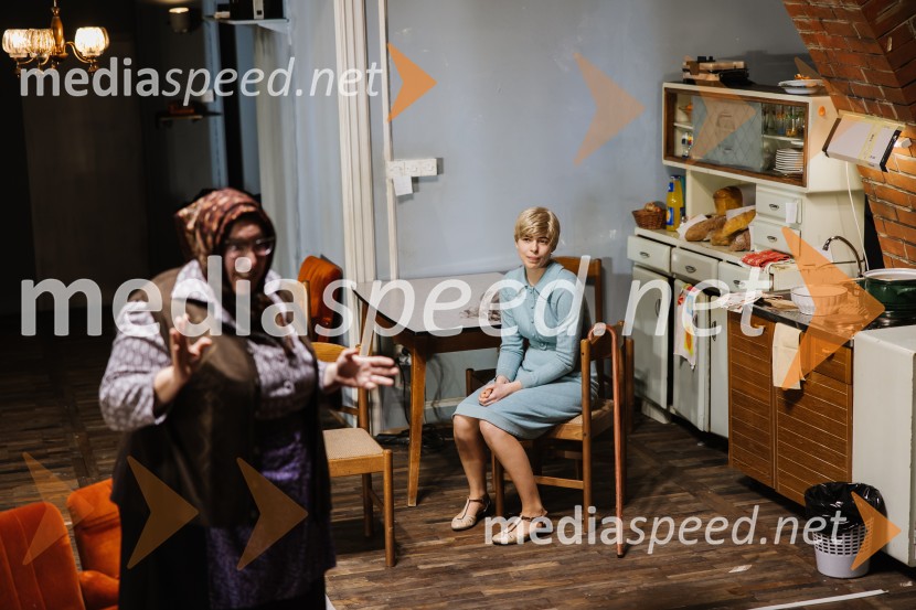 1973, premiera avtorskega projekta v SNG Nova Gorica