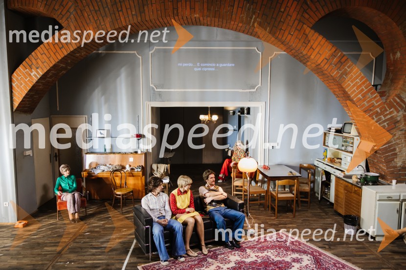 1973, premiera avtorskega projekta v SNG Nova Gorica