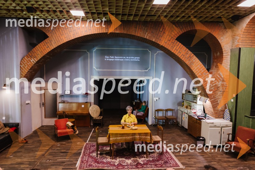 1973, premiera avtorskega projekta v SNG Nova Gorica