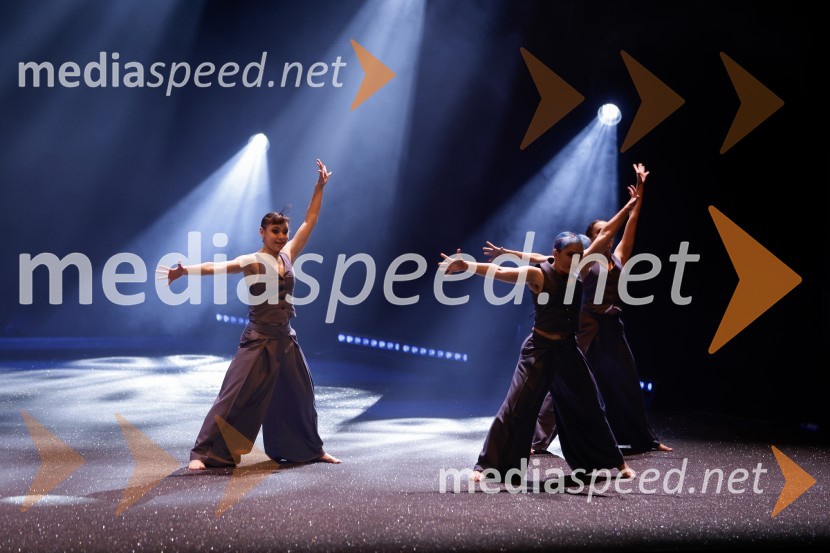 Državna proslava ob slovenskem kulturnem prazniku s podelitvijo Prešernovih nagrad