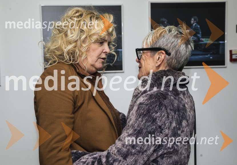  Katja Pegan,  direktorica in režiserka, Gledališče Koper Teatro Capodistria;  Bojana LeskovarDnevi zavrženosti, premiera Gledališče Koper