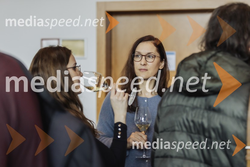 Prvi Merit PortfolioTasting z novinarskim srečanjem in pokušino najnovejšega letnika šampanjca Dom Perignon 2015