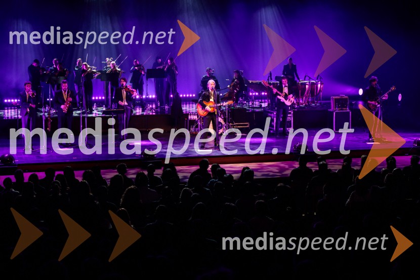  Luka Ipavec, glasbenik, skupina Manouche;  Matej Kužel, glasbenik, Momento Cigano;  Matija Krečič, violinist in skadatelj, Momento Cigano;  Robert Pešut - Magnifico, glasbenik;  Jan Gregorka, glasbenik, skupina Magnifico;  Jan Jarni, glasbenik, skupina MagnificoMagnifico koncert