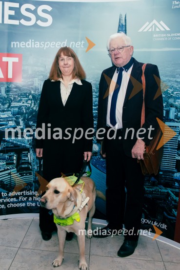  Victoria Harrison, britanska veleposlanica v Sloveniji;  ... Čaj z razlogom: Reševanje kadrovske sestavljanke v Sloveniji
