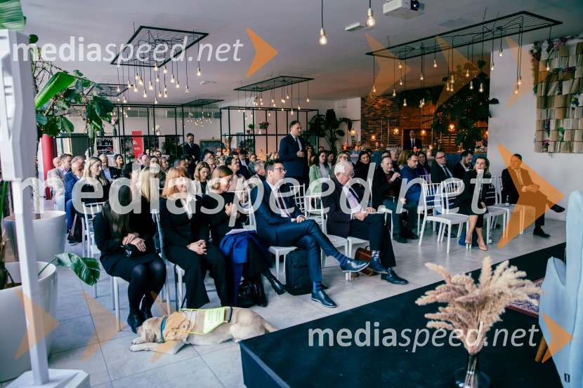 Čaj z razlogom: Reševanje kadrovske sestavljanke v Sloveniji