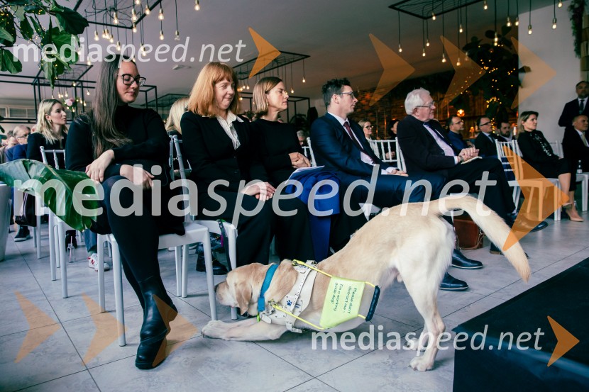 Čaj z razlogom: Reševanje kadrovske sestavljanke v Sloveniji