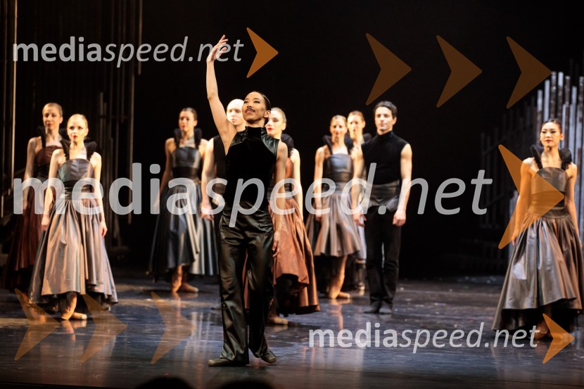 Hamlet, premiera baleta v SNG Opera in balet Ljubljana