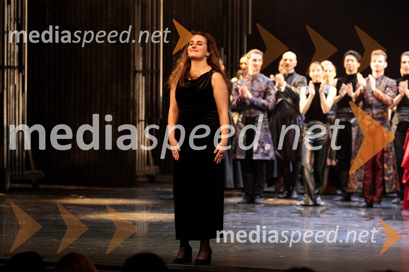 Hamlet, premiera baleta v SNG Opera in balet Ljubljana