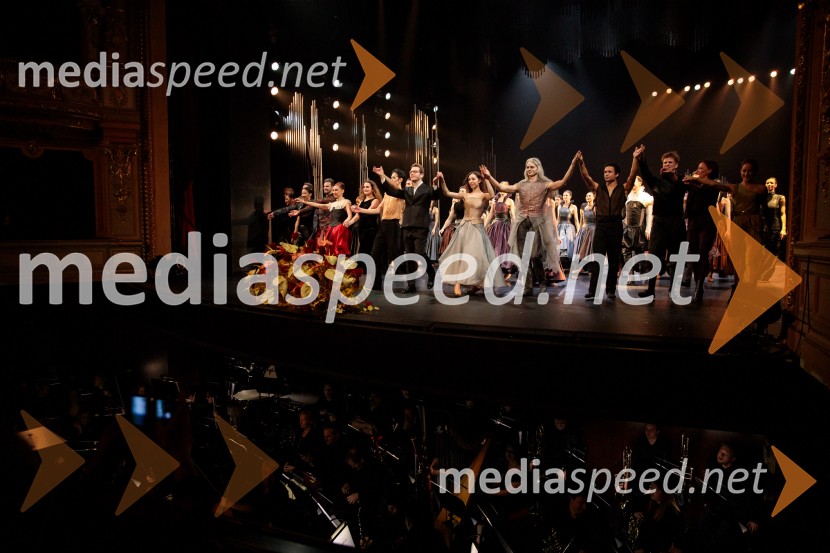 Hamlet, premiera baleta v SNG Opera in balet Ljubljana