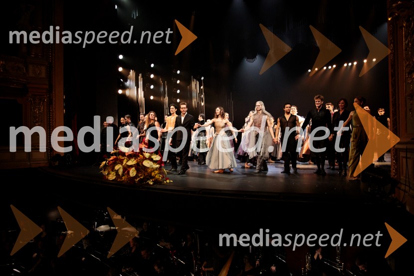 Hamlet, premiera baleta v SNG Opera in balet Ljubljana