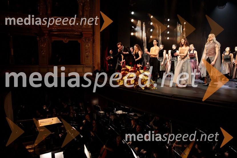 Hamlet, premiera baleta v SNG Opera in balet Ljubljana